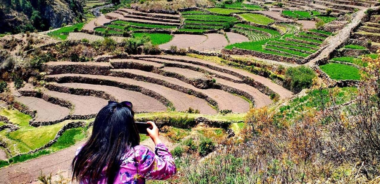 Hotel Misky Punuy - Valle Del Sondondo Andamarca Luaran gambar