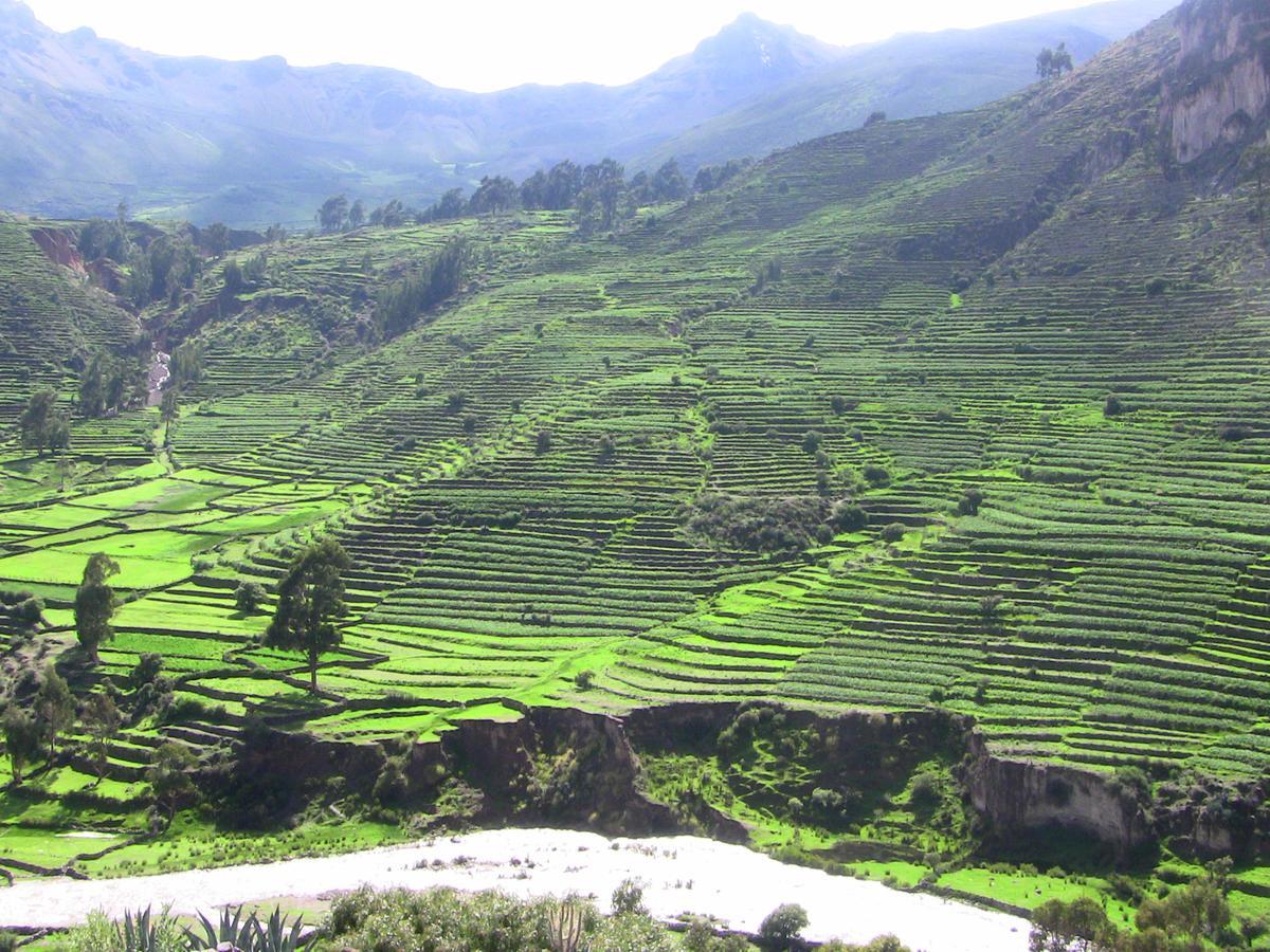 Hotel Misky Punuy - Valle Del Sondondo Andamarca Luaran gambar