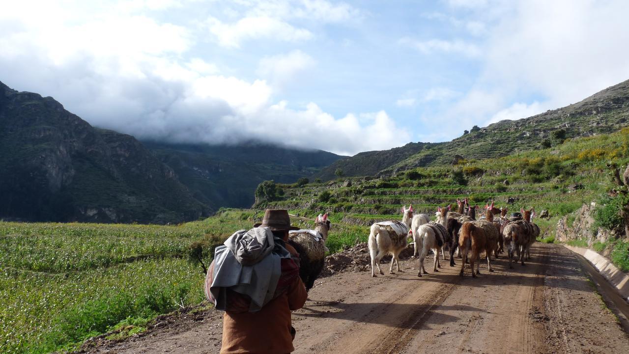 Hotel Misky Punuy - Valle Del Sondondo Andamarca Luaran gambar