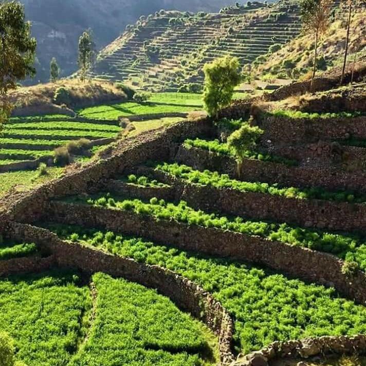 Hotel Misky Punuy - Valle Del Sondondo Andamarca Luaran gambar